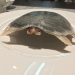 クロモリ - すっぽん