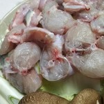 季節料理 藤原 - 