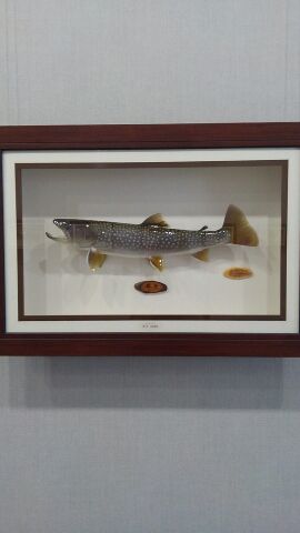 小さな美術館ミモザ - 種差海岸（カフェ）の写真