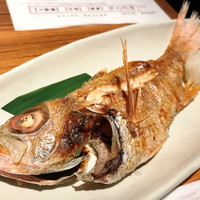 八吉 新橋店 - 
