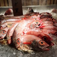 八吉 新橋店 - 