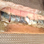 新日本料理 翠祥 - 