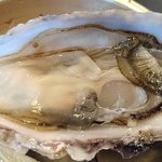 飛梅 - かき小屋 飛梅 神田西口店 かき飯DXセットの大きな生牡蛎