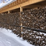 エグ・ヴィヴ - 