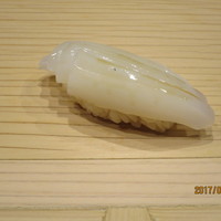 鮨処 つく田 - アオリイカ