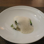 サラマンジェ ド ヨシノ - アオリイカのクリームソース エスプーマ仕立て