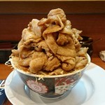 豚丼専門店 木ノ下 - 