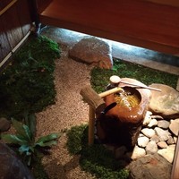先斗町 四季 よし菜 - 