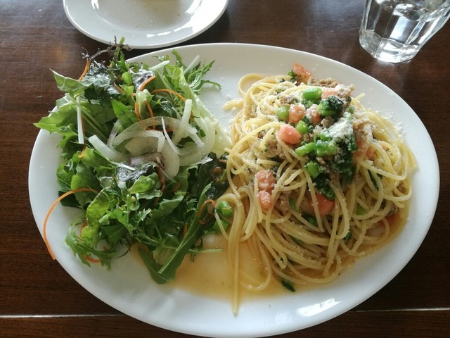 Capo PELLICANO Hongo Ten photo 3