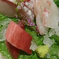 瓢斗 四条烏丸店 - お造り盛り合わせ