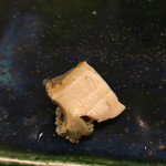 鮨おばな - 蒸し鮑