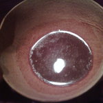 ステーキ＆ワイン オクソン - カカオ飲料？