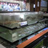 稚加榮 本店 - おっきないけす！