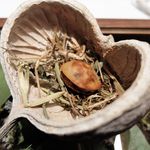 ラチュレ - ヒグマ+クルミのケークサレ