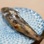 うを徳 - 2017.3 静岡メヒカリ一夜干し