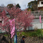 磯料理 一吉 - 根府川駅