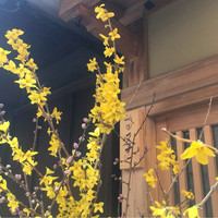 祇園 又吉 - 