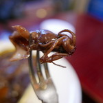 ロックフィッシュ - ホタルイカアップ