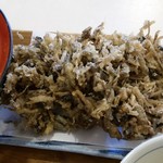 うどん 有田 - うどん 有田　鰯かき揚げ100円