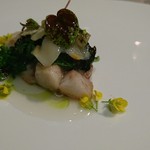 レヴォ - メバル（岩瀬）白貝