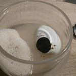 レヴォ - Virjin　Egg　初めて生んだ卵