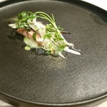 レヴォ - 桜鱒（新湊）