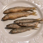 ワタリガラス - 