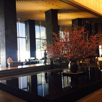 アルヴァ(アマン東京) - 