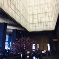 アルヴァ(アマン東京) - 