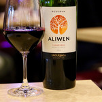 波へい - ウンドラーガ アリウェン レセルバ カルメネール