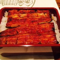 神泉いちのや - これがいちのやのうな重だ！