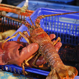 小田原さかなセンター_1