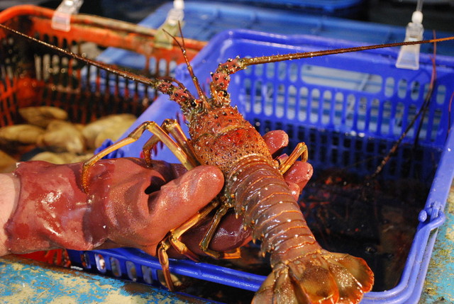 料理メニュー 小田原さかなセンター 早川 魚介料理 海鮮料理 食べログ