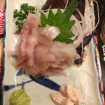 大衆居酒屋魚さんこ - 