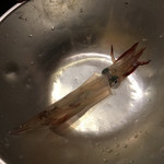 大衆居酒屋魚さんこ - 