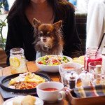 Mr.FARMER 駒沢オリンピック公園