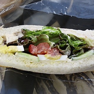 シュシュデュパン_0