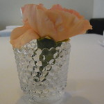 コンヴィヴィアリテ - 