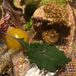 キャトルラパン - 