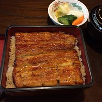 鰻 十和田 - 