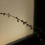 橦木館カフェ - 　さりげないところにも・・