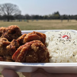 ほか弁　日本亭 - 晴れた日の昭和記念公園 美味しさ3割増し。