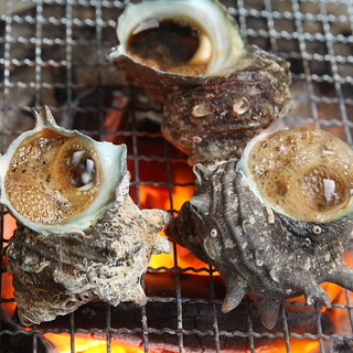 海鮮・居酒屋メニューも多数