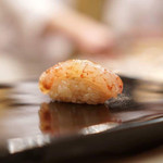 日本橋蛎殻町 すぎた - シマエビ