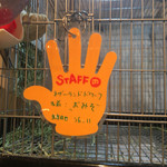 小動物カフェ ロックスター - 