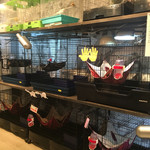 小動物カフェ ロックスター - 