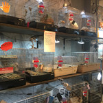 小動物カフェ ロックスター - 