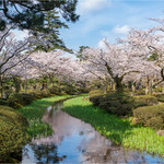 銀座の金沢 - 春の兼六園