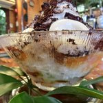 いちょうの木 - 白玉、ベイリーズ、ブラックココア、ラムレーズンペースト、あんず、カルバドス、だだちゃ豆入りずんだあん、寒天の8種盛り 900円