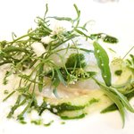 ラ・リューン - メニューＡ 3024円 の今治の藤本さんの旬のイカと姫大根 フレッシュベルベーヌ